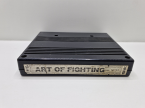 Art of Fighting
