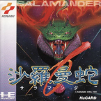 Salamander